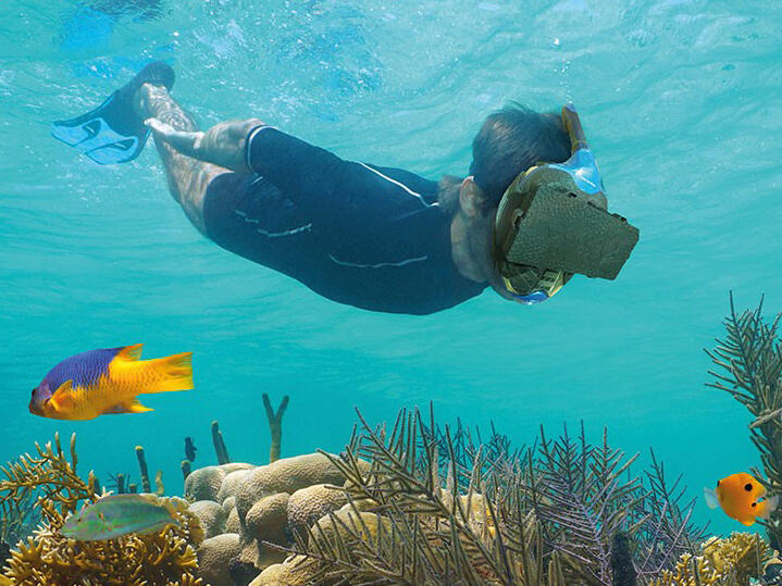 NIEUW bij De Wilder VR Snorkelen Optisport